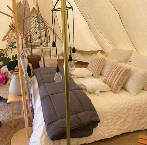 Mansfield Glamping - Tweed Heads Accommodation 4