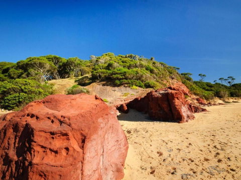 Serenity At Red Rocks - Tweed Heads Accommodation 4