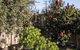 Ebbtide - thumb 1