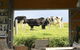 THE SHED Gerroa 4pm Checkout On Sundays & Public Holidays - thumb 6