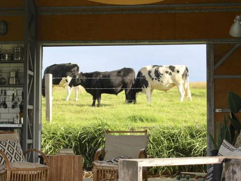 THE SHED Gerroa 4pm Checkout On Sundays & Public Holidays - Tweed Heads Accommodation 6