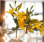 KUI Manhattan Apartments - Tweed Heads Accommodation