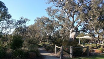 Mt Cooper Inn - Tweed Heads Accommodation 5