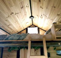 Big Tiny Dale View Tiny House - Tweed Heads Accommodation