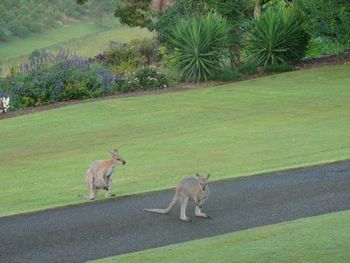 Belle La Vie B & B - Tweed Heads Accommodation 5