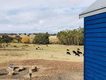 In2thewild Walden - Tweed Heads Accommodation 1