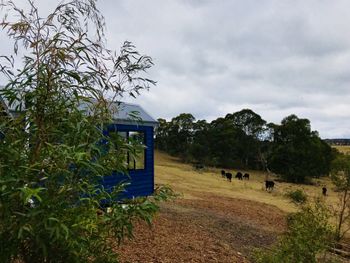 In2thewild Walden - Tweed Heads Accommodation 4