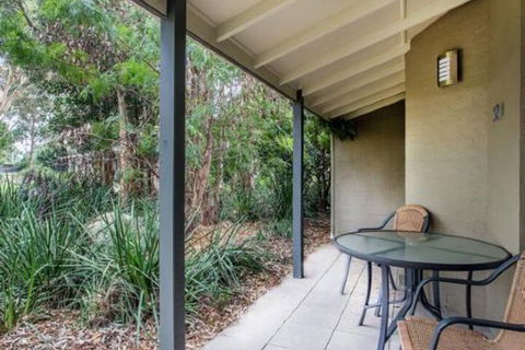 Port Stephens Koala Sanctuary - Tweed Heads Accommodation 5