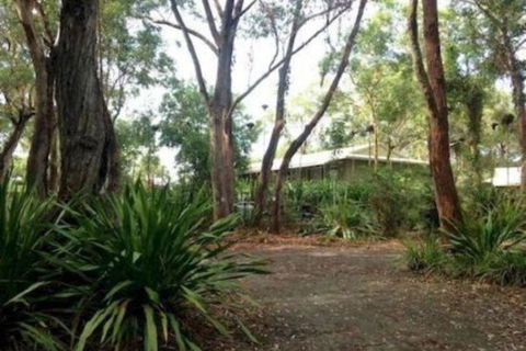 Port Stephens Koala Sanctuary - Tweed Heads Accommodation 2