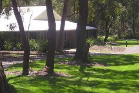 Port Stephens Koala Sanctuary - Tweed Heads Accommodation 6
