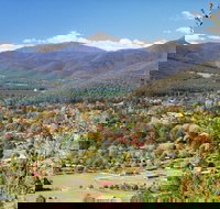 Discovery Parks - Bright - Tweed Heads Accommodation