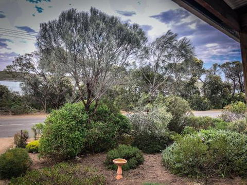 Samphire Beach House - Tweed Heads Accommodation 4