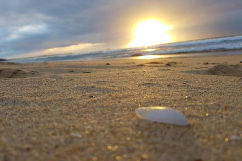 Eagles Loft - Tweed Heads Accommodation 6