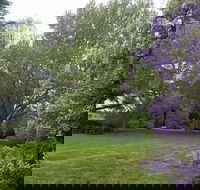Petersons Armidale Winery  Guesthouse - Tweed Heads Accommodation