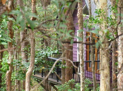 Amytis Gardens Retreat & Day Spa - Tweed Heads Accommodation 1