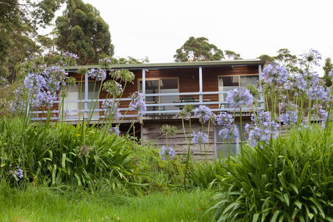 Bombina Cottages - Tweed Heads Accommodation 0