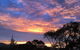 Bed & Breakfast At Kiama - thumb 3