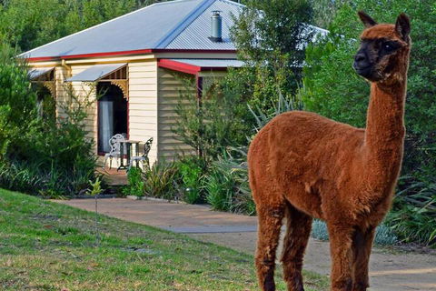 Araluen Park Cottages - Tweed Heads Accommodation 6