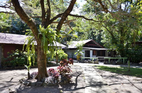 PKs Jungle Village - Hostel - Tweed Heads Accommodation 5