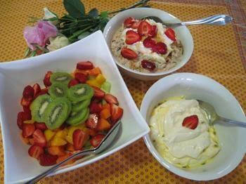 Jacaranda Creek Farmstay & B & B - Tweed Heads Accommodation 0