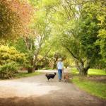 Johanna VIC Tweed Heads Accommodation