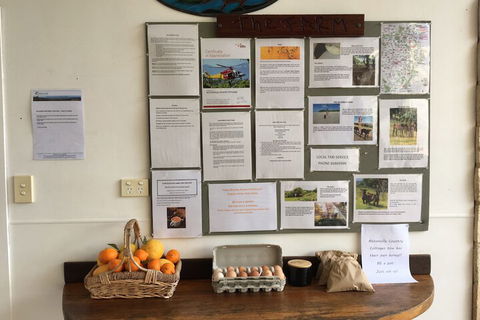 Alstonville Country Cottages - Tweed Heads Accommodation 5