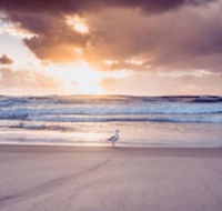 Blue Waters Motel - Tweed Heads Accommodation