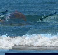 Summerhills Retreat Byron Bay - Tweed Heads Accommodation
