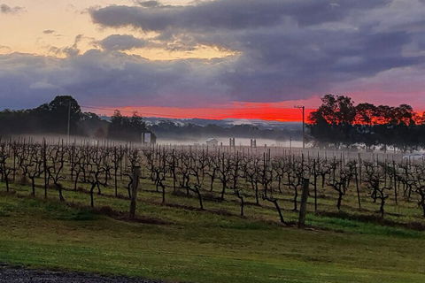 Adina Vineyard - Tweed Heads Accommodation 4