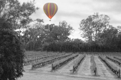 Adina Vineyard - Tweed Heads Accommodation 5
