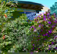 The Boomerangs - Tweed Heads Accommodation