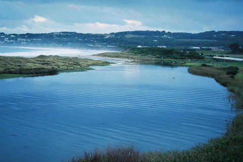Apollo Bay Guest House - Tweed Heads Accommodation 3