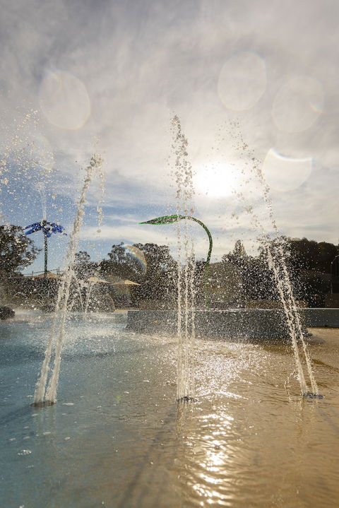 Alivio Tourist Park Canberra - Tweed Heads Accommodation 5