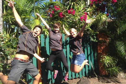 JJs Backpackers Hostel - Tweed Heads Accommodation 6