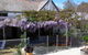Langford House B & B - thumb 1