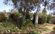 Langford House B & B - thumb 0