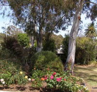 Langford House B  B - Tweed Heads Accommodation