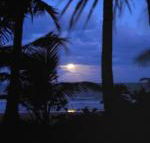 Sejala Beach Huts - Tweed Heads Accommodation