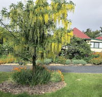Hamlet Downs Country Accommodation - Tweed Heads Accommodation