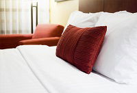 Forest Echo Cottage - Tweed Heads Accommodation 0