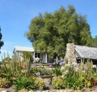 Sassafras Springs - Tweed Heads Accommodation