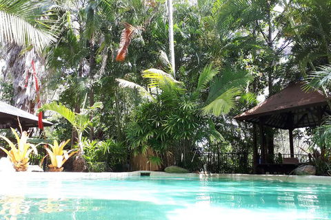 Alaya Escape - Tweed Heads Accommodation 5