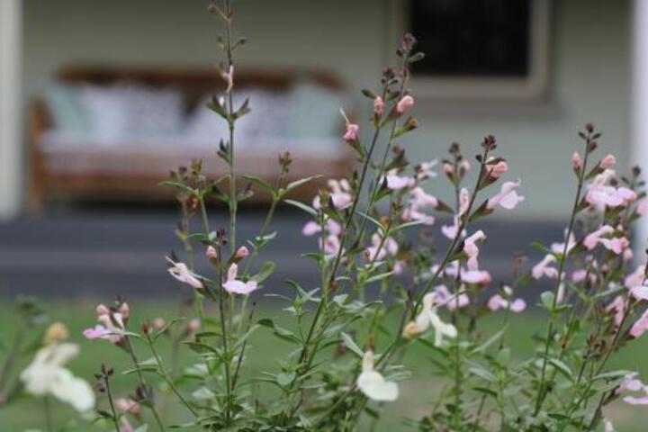 Halton ACT Tweed Heads Accommodation