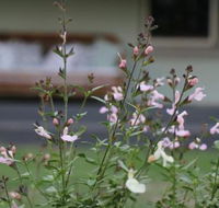 Serendipity on Allyn - Tweed Heads Accommodation