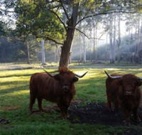Dingley Dell - Tweed Heads Accommodation