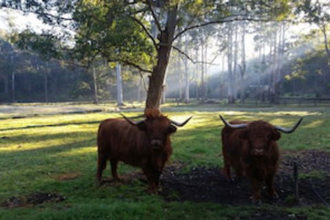 Dingley Dell - Tweed Heads Accommodation 0