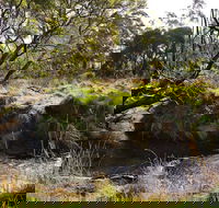 Green Gully House - Tweed Heads Accommodation