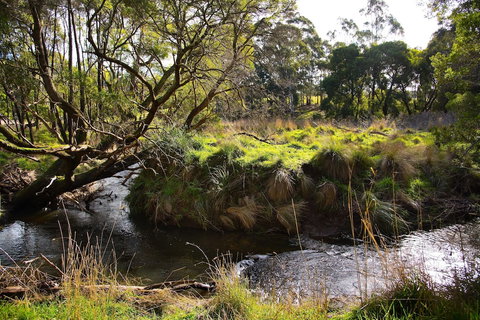 Green Gully House - Tweed Heads Accommodation 0
