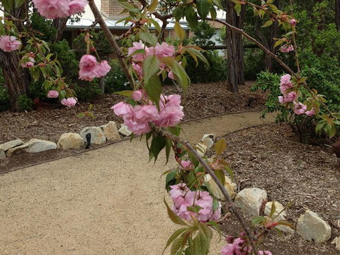 Silverleaf Cottage - Tweed Heads Accommodation 2