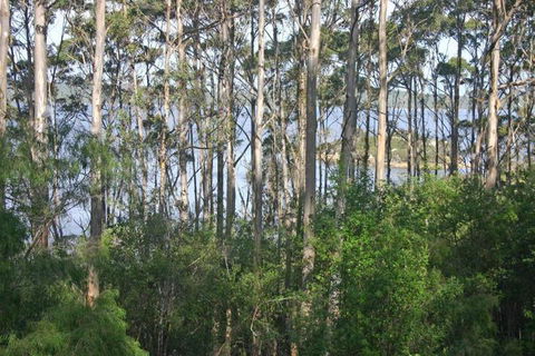 Honeymoon View - Tweed Heads Accommodation 7
